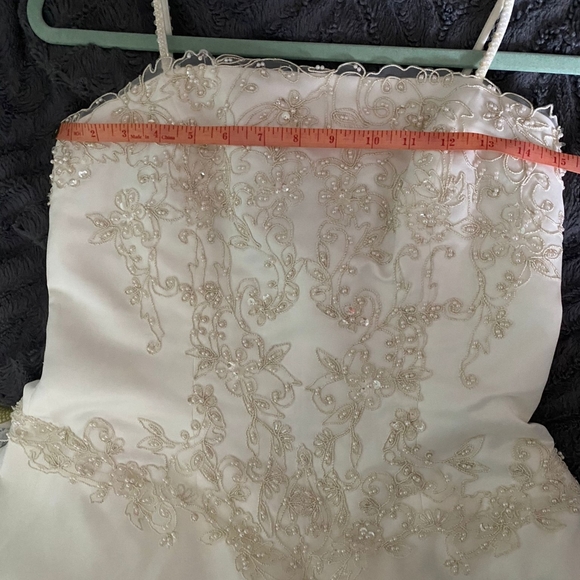 David's Bridal Wedding Dress - Picture 12 of 15